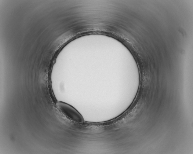 X0000110670977200907241019