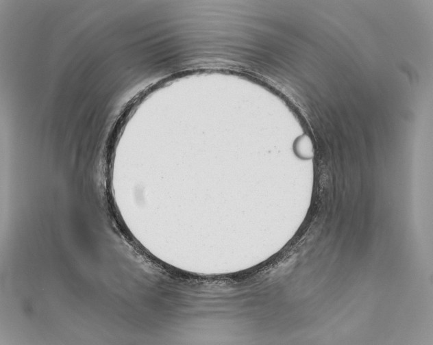 X0000110670979200907241019