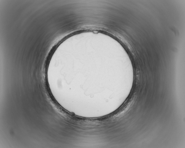 X0000110670981200907241019