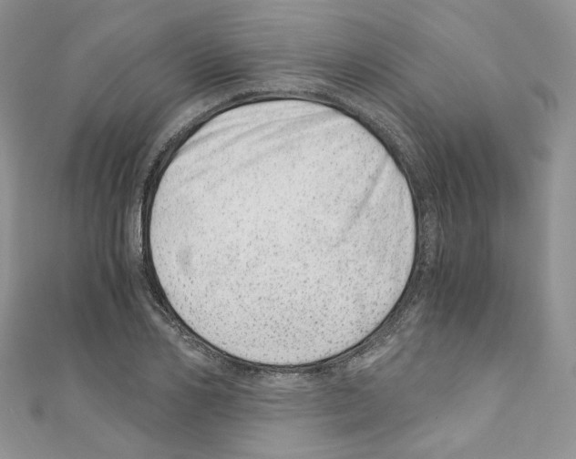 X0000110670982200907241019