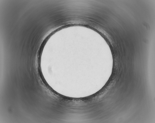 X0000110670983200907241019