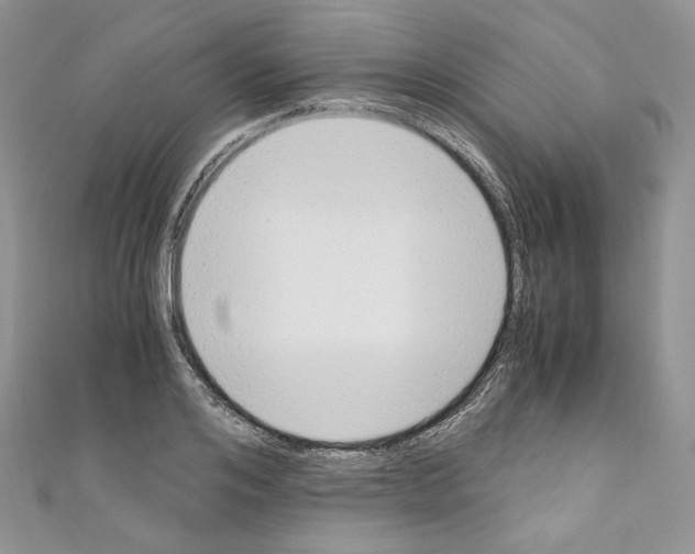 X0000110670984200907241019
