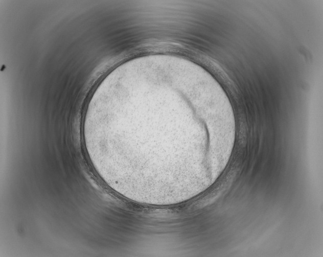 X0000110670986200907241019
