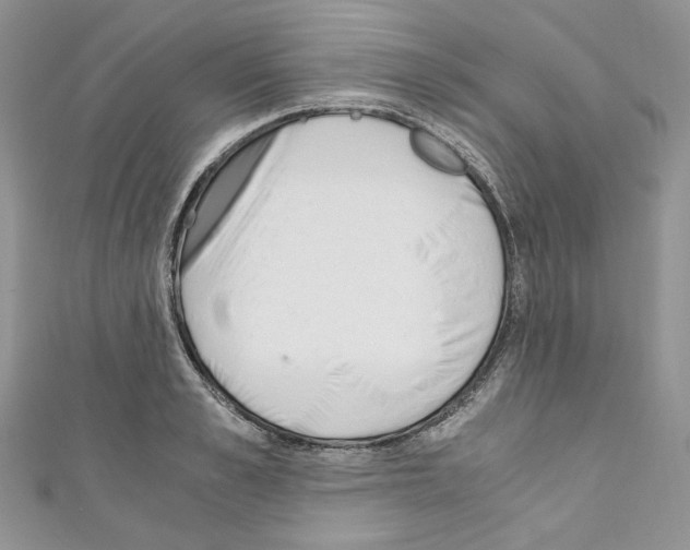 X0000110670989200907241018