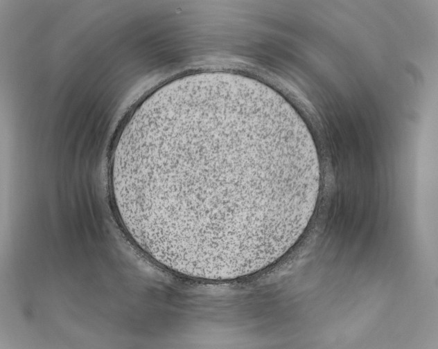 X0000110670990200907241018