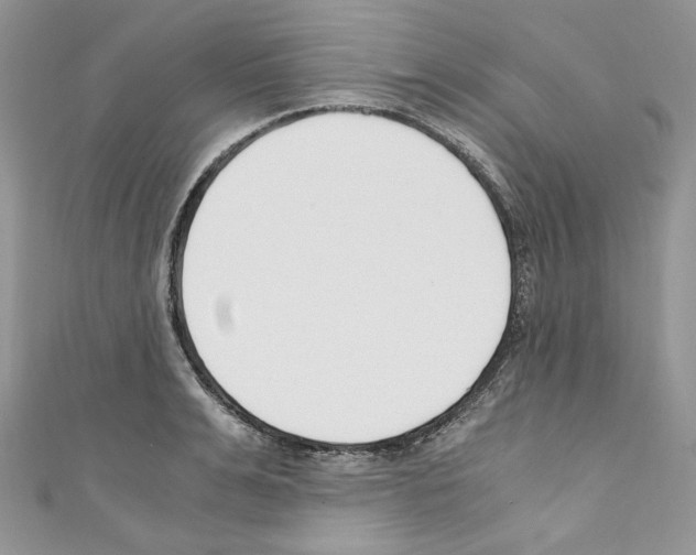 X0000110670991200907241018