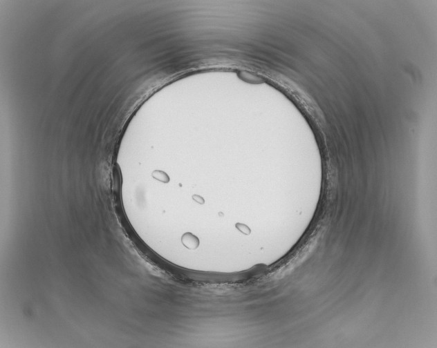 X0000110670993200907241018