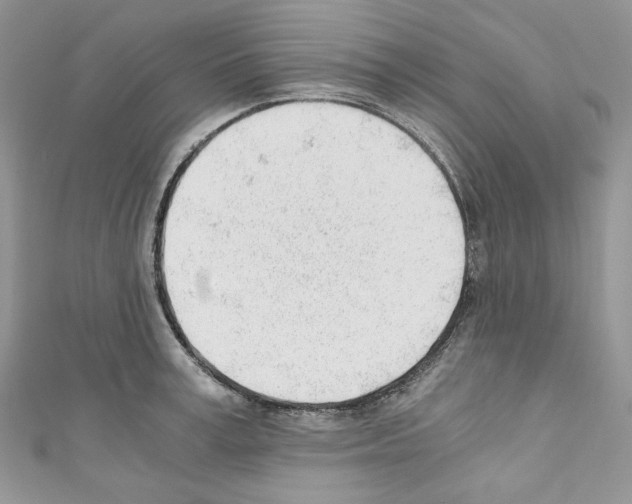 X0000110670995200907241018