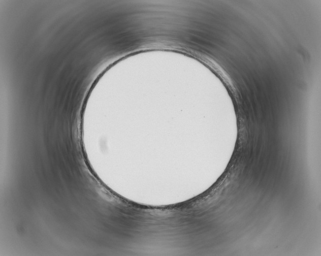X0000110670996200907241018