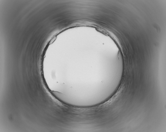 X0000110670997200907241018