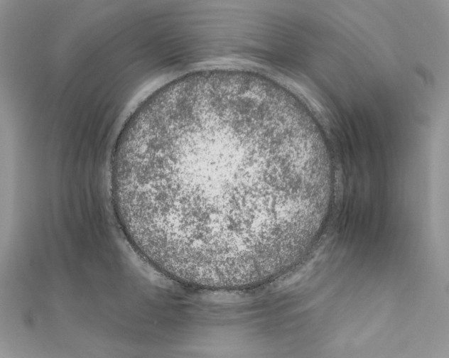 X0000110670998200907241018