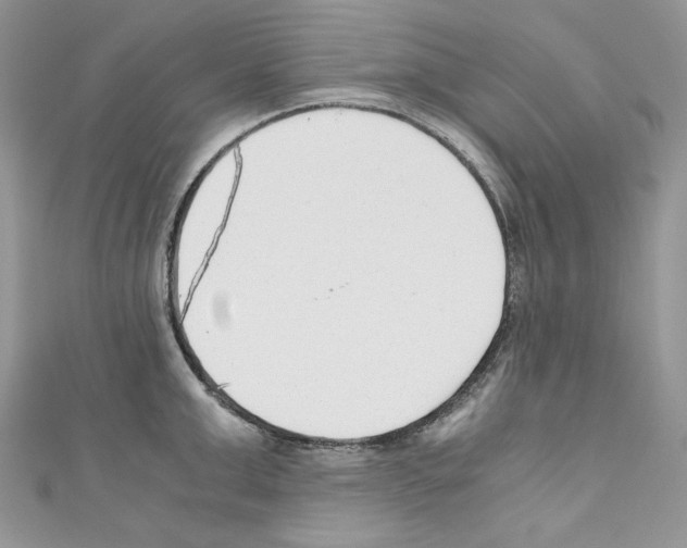 X0000110670999200907241018