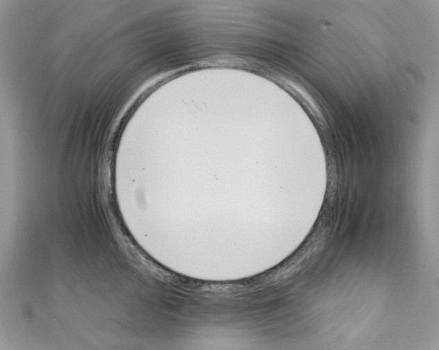 X0000110671000200907241018