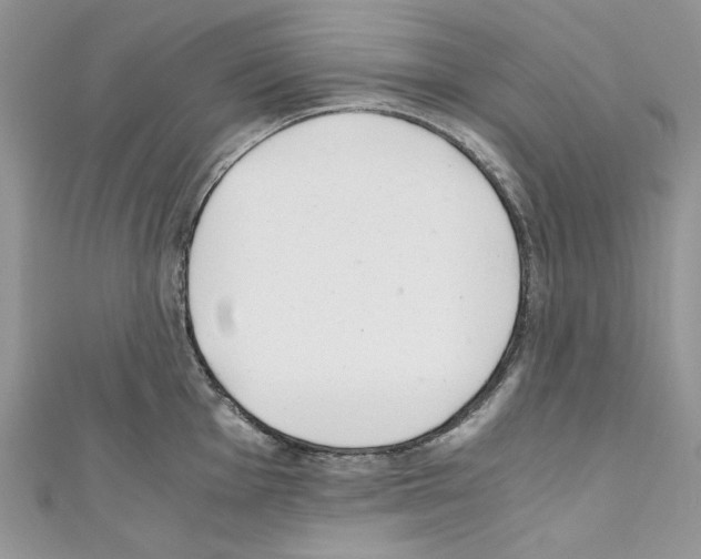 X0000110671001200907241018