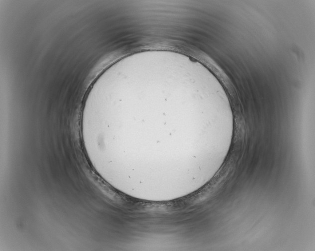 X0000110671002200907241018