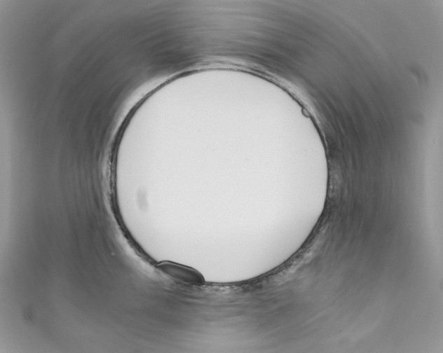 X0000110671003200907241018