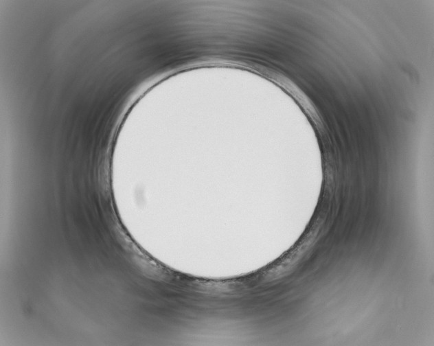 X0000110671004200907241018