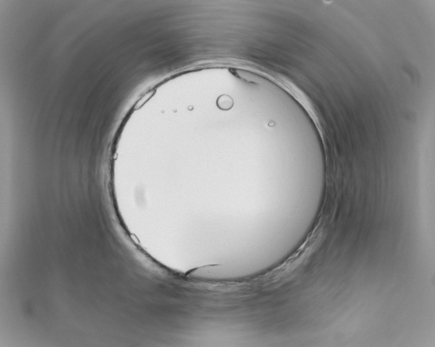 X0000110671005200907241018