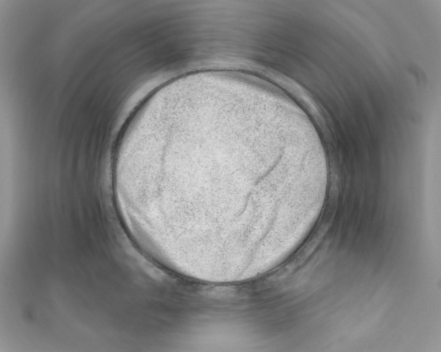 X0000110671006200907241018