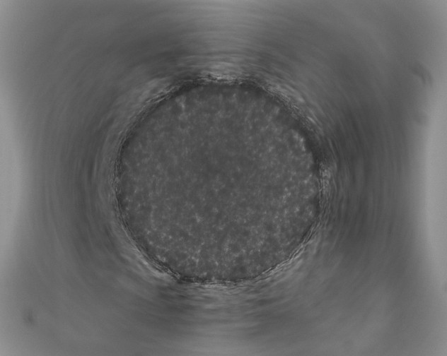 X0000110671009200907241018