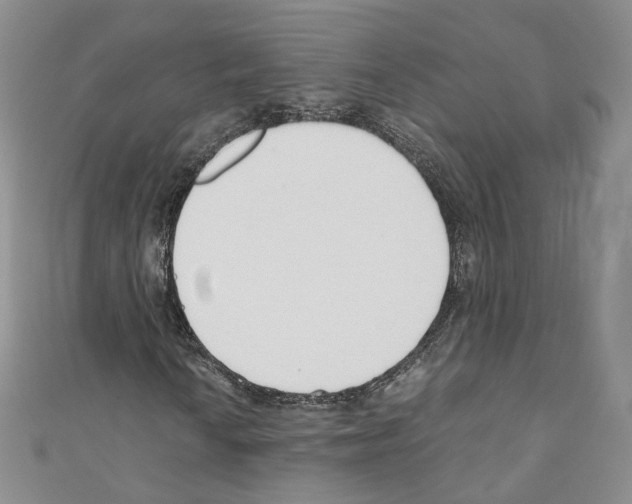 X0000110671010200907241018