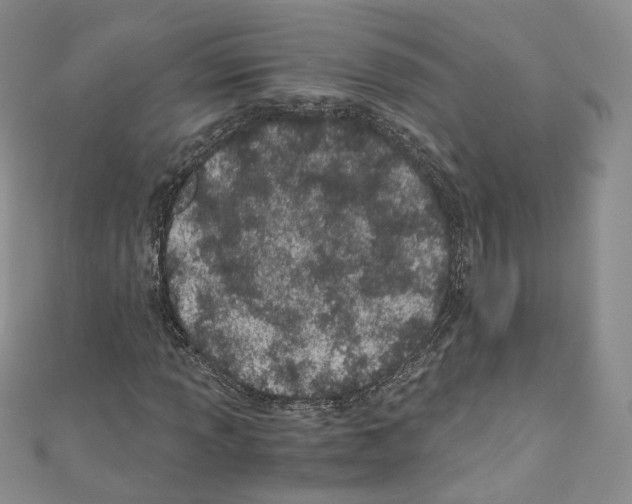 X0000110671013200907241018