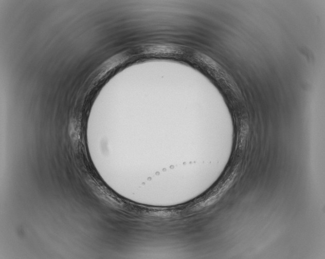 X0000110671017200907241018