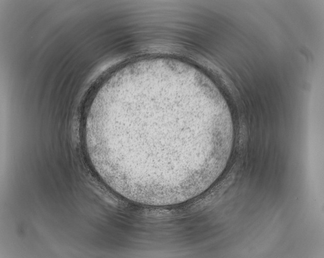 X0000110671019200907241018