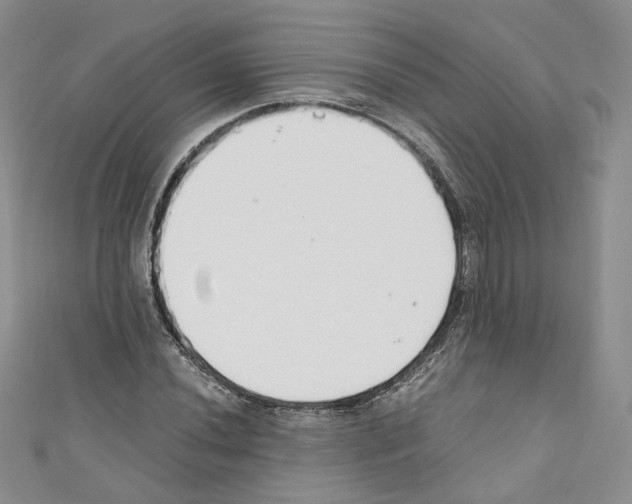 X0000110671020200907241018