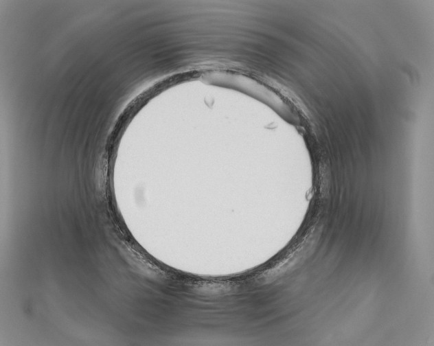 X0000110671021200907241018