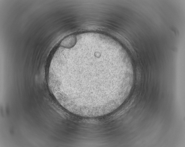 X0000110671023200907241018