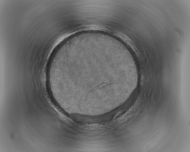 X0000110671024200907241018