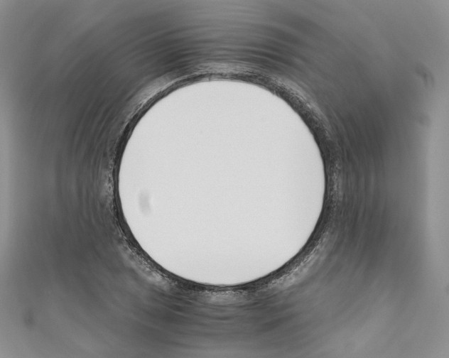 X0000110671025200907241018