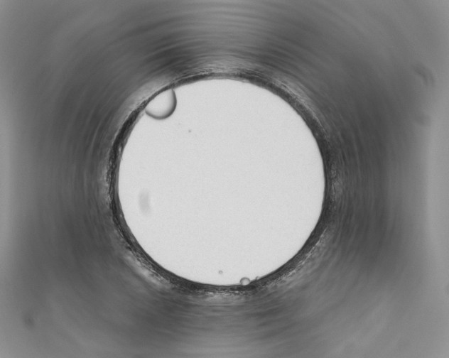 X0000110671026200907241018
