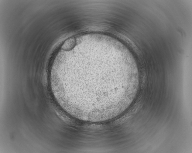 X0000110671027200907241018