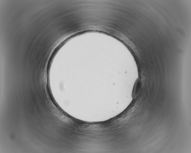 X0000110671028200907241018