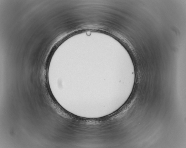 X0000110671029200907241018