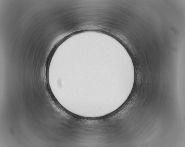 X0000110671030200907241018