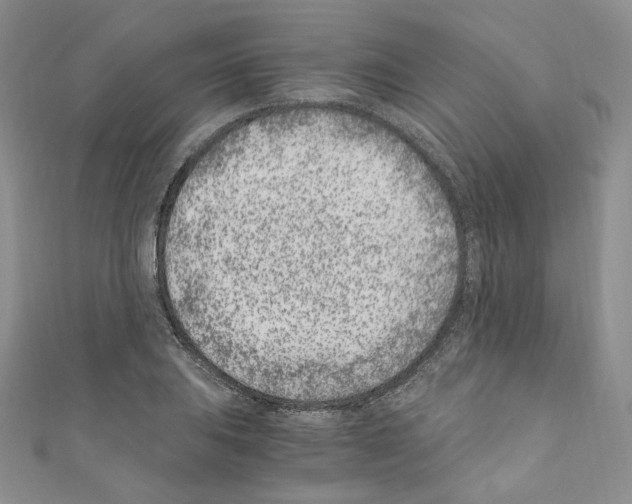 X0000110671031200907241018