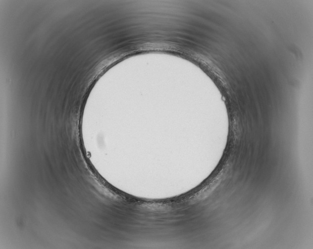X0000110671033200907241018