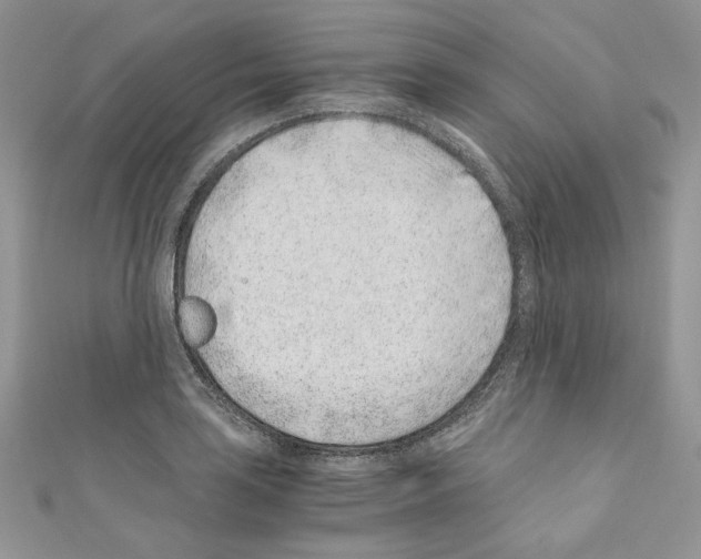 X0000110671035200907241018