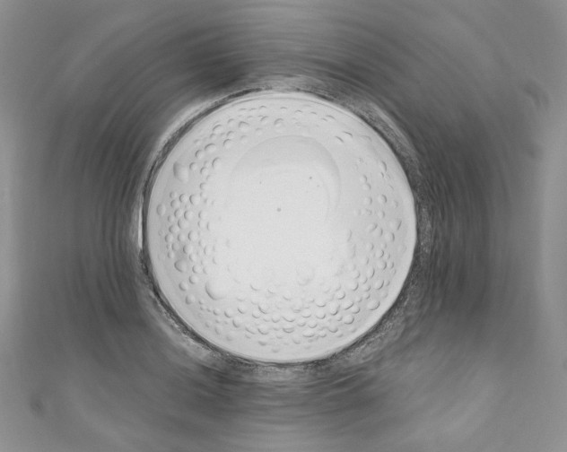 X0000110671036200907241018