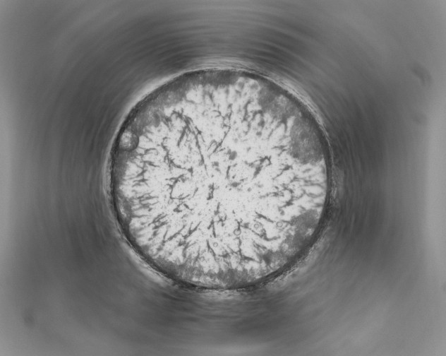 X0000110671037200907241018