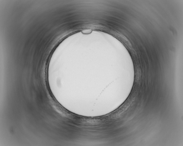 X0000110671039200907241018