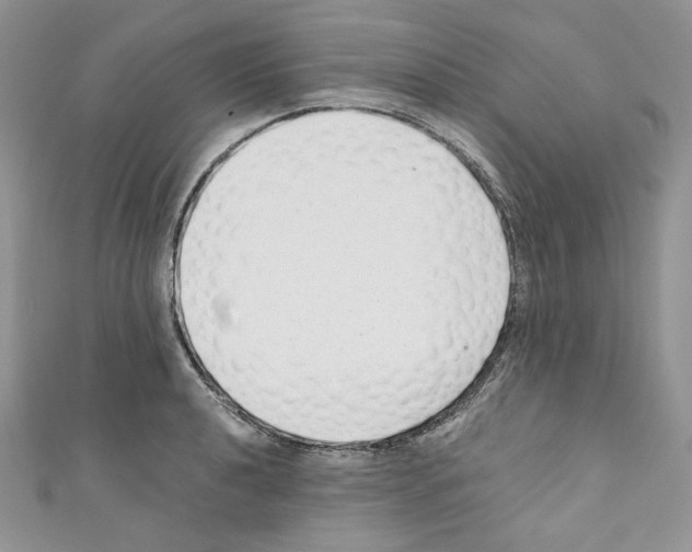 X0000110671040200907241018