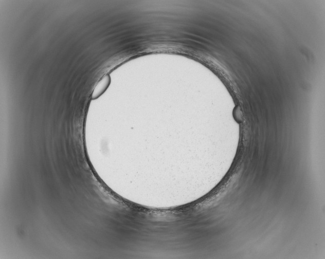 X0000110671041200907241018