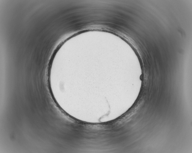 X0000110671045200907241018
