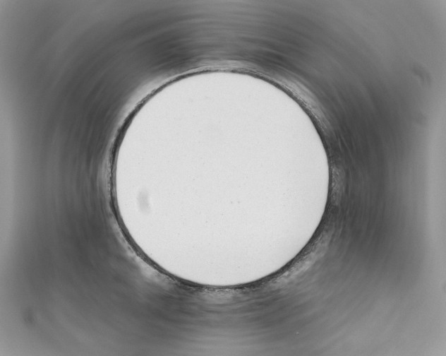 X0000110671046200907241018