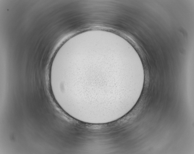 X0000110671048200907241018