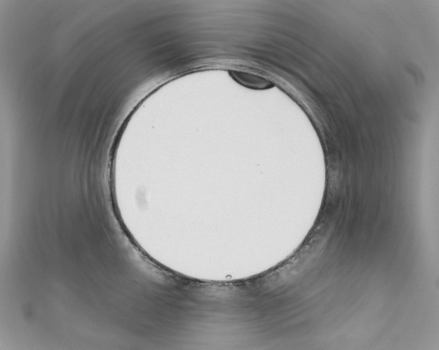 X0000110671050200907241018